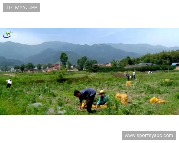 亚博体育线上官网支持多种支付方式快速存取款指南